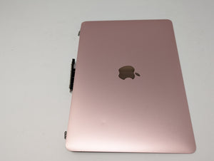 Image #9